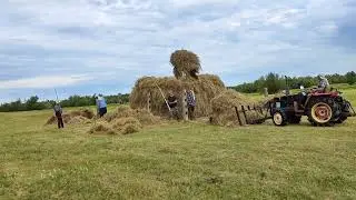 сайын 2023. Ханалас. От куулэйэ