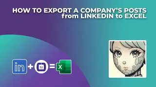LINKEDIN COMPANY POSTS EXTRACTOR | USE THE LINKEDIN API, GET COMPANY POSTS & EXPORT THEM TO EXCEL