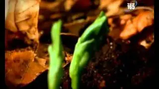 99 Asmaul Husna [99 Names of Allah].mp4