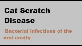 Cat scratch disease : Bacterial infections of the oral cavity