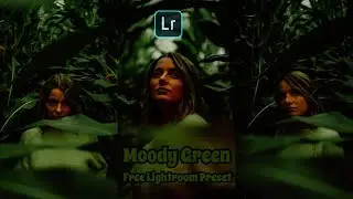 Moody Dark Green Preset - Lightroom Mobile Presets DNG || Moody Green Preset