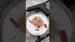 Crazy SHOOTING targets
