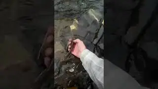 Пусть растëт