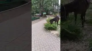 турист в городском парке Новый Афон