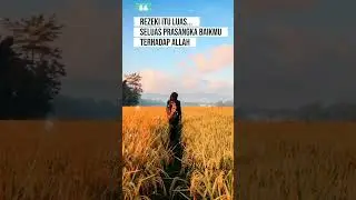 #dawai