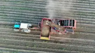 Potato harvesting time - the best equipment in Belarus for harvesting potatoes