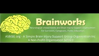 Topic: Making The Best of Life 12/11/2018 Brainworks ASBISG Brain Injury Support Call
