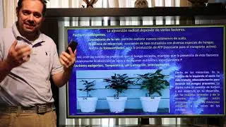Nutrición mineral parte II