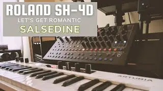 Roland SH-4d | The sequencer gets romantic