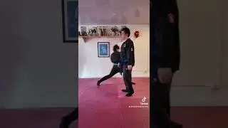 Mae geri / Tai sabaki. Defensa contra patada frontal .#ninjutsu #ninjutsu #youtubeshorts #bujinkan