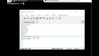 Comandos básicos para iniciantes no Linux - 2 a 4