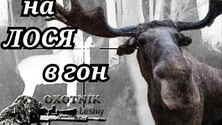 Выстрел по голове. Охота на ЛОСЯ в ГОН.