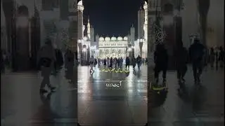 The Omniscience of Allah | Urdu Translation of Surah Younus Verse 61 #shorts #Quran
