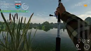 Fishing Planet : C'mon Carp Sunny