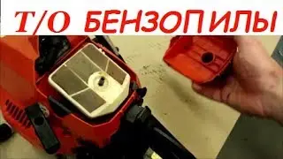 How to start repairing a chain saw and why change the fuel filter