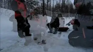 Крупный ОКУНЬ в декабре