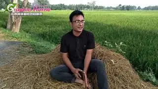 Baba Amay Daktase / বাবা আমায় ডাকতাছে