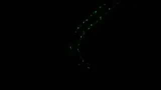 Z- stack Confocal Microscope GFP C. Elegans Tail