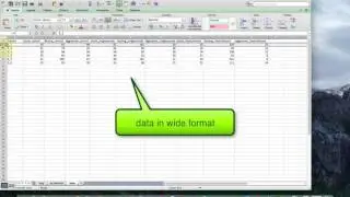 Using R part 4: format and import your data