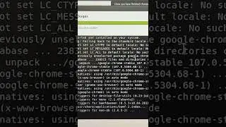 UBUNTU 18.04 - Installation of Chrome and Chromium Browser - Using Software boutique.