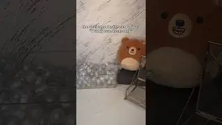bears 