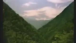 mt. fujitive - brazil