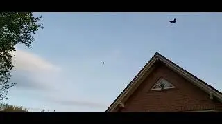 Игра с тягой.