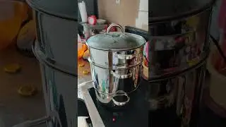 Pravimo sok od visnje