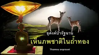 ๔.เห็นภพชาติในถ้ำทอง...ธุดงค์ป่ารัฐฉาน