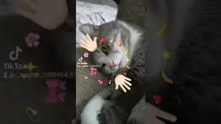 11 августа 2023 г.