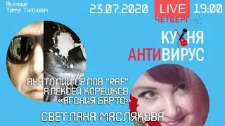 Кухня антивирус 13