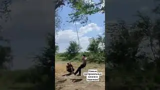 Качели (тарзанка)