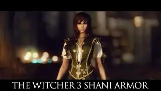 TES V - Skyrim Mods: The Witcher 3 Shani Armor UNP
