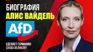 Biography of Alice Weidel (Alternative for Germany AfD) Scandals Same-sex marriage Views Misha Bur