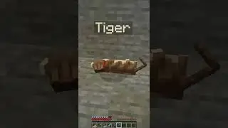 My minecraft cat sleep walking to bed