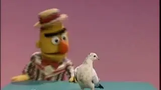 Sesame Street | Pigeons, Cookies & Trash - French