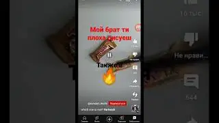 11 марта 2023 г.