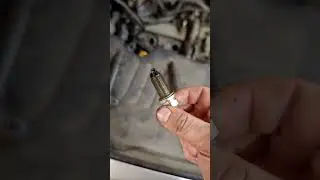 Любой каприз за ваши деньги