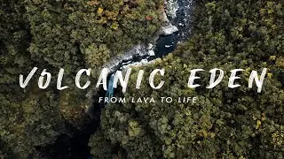 Volcanic Eden - From Lava To Life