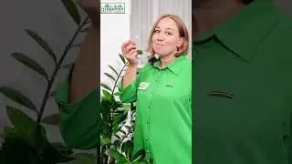 чем дом лучше квартиры