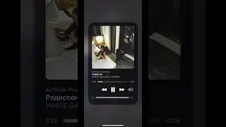 Рэдиссон - WHITE GALLOWS, SCIRENA
