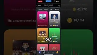 КАК ВЫПОЛНИТЬ ЗАДАНИЕ НА 5 МЛН МОНЕТ В HAMSTER KOMBAT 🐹 