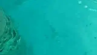 Our Over-the-Water Bungalow in Bora Bora (Hotel Sofitel Marara)