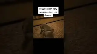 мем 444 #мем #мемы #приколы #угар #юмор #смех #рофл #tiktok #shorts 2