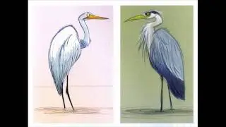 The Art of The Princess And The Frog.wmv