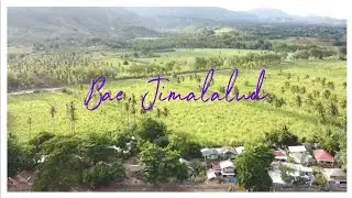 Bae, Jimalalud Negros Oriental | Aerial Shot | DJI