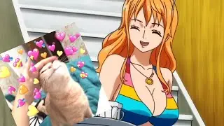 Sanji and Nami 💛🧡 || edit (One Piece)