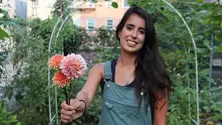 Quick August Garden Tour // Mari's Garden and Kitchen