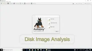 Disk Image Analysis