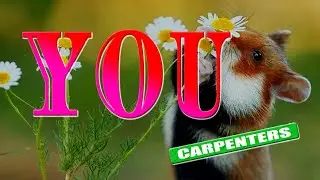 YOU  [ karaoke version ] popularized by the CARPENTERS